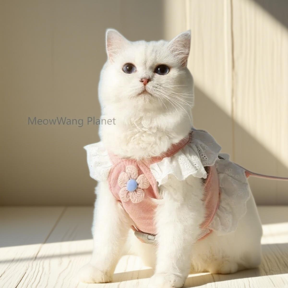 Leash Cat Leash Premium Summer Pet Harness Leash Set Breathable Lightweight And Escape Proof Vest For Cats Small Dogs Adjustable Outdoor Walking Gear With Secure Leash Attachment Luxury Pet Gift
